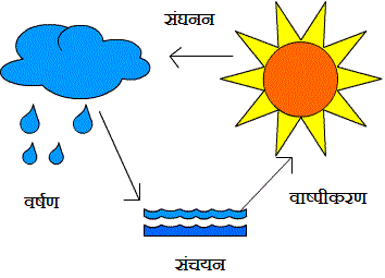 Water Cycle