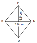 Quadrilateral