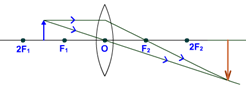 convex lens image formation object between 2F1 and F1