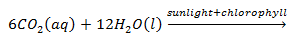 chemical equation for reduction of carbon monoxide