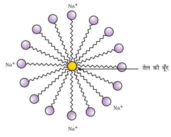 formation of micelle