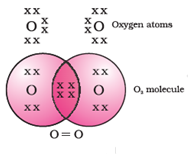 bond formation in oxygen molecule