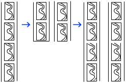 fragmentation in spirogyra