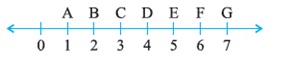 class 6 basic shapes question figure