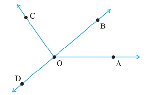 class 6 basic shapes question figure