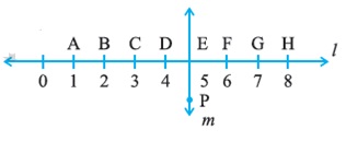 class 6 basic shapes question figure