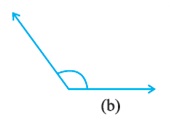 class 6 basic shapes question figure