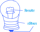 structure of bulb