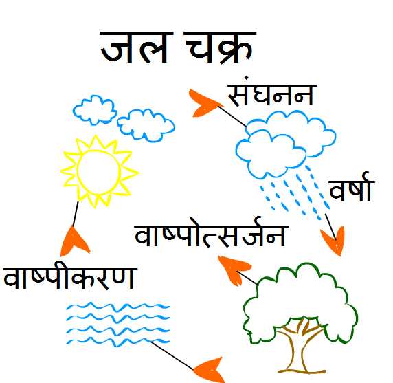 water cycle diagram