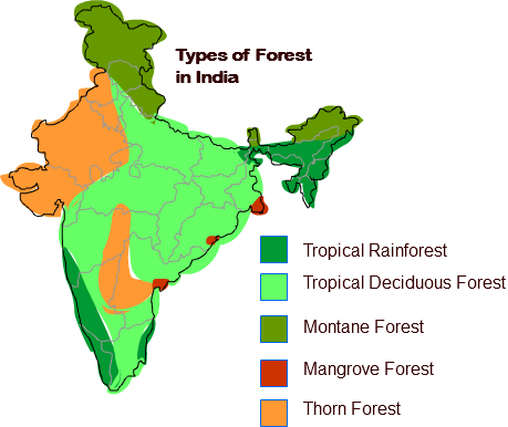 Types of Vegetation India Map