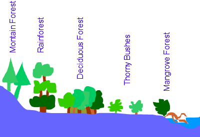 Types of Vegetation in India